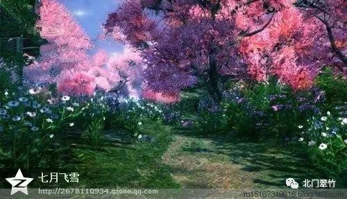 一面锦旗的背后,是“孝老之城”蕴藏的温度