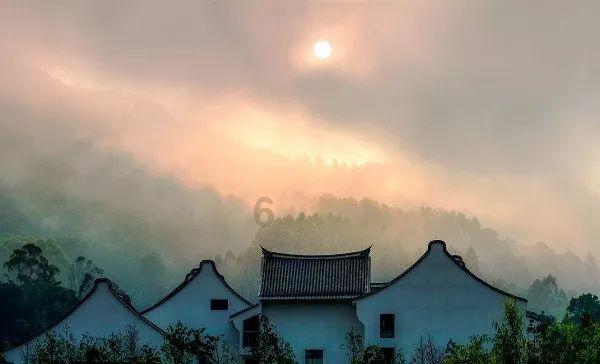 穿越遗弃的森林