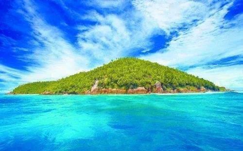 东珠生态最新公告：联合中标杞麓湖大新河综合治理项目