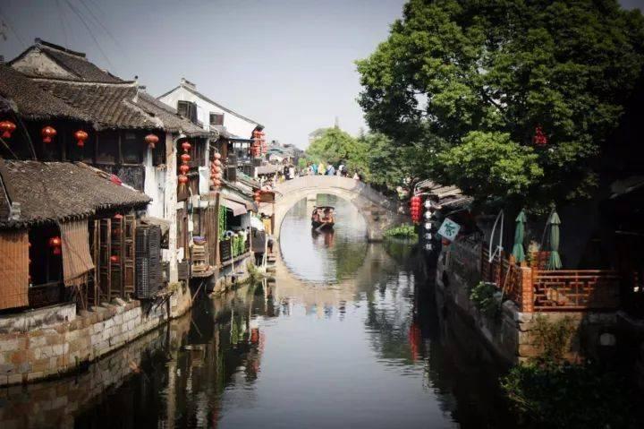 锦鲤和草金的区别游戏画面